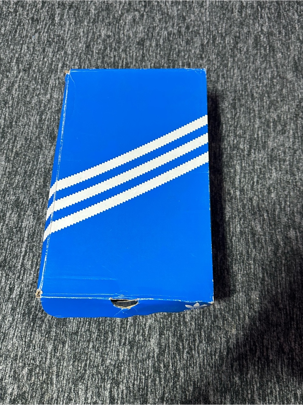 CLOSET CLOSING Adidas Forum Big Kid Sneakers